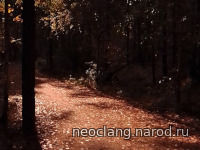 ino1m.jpg